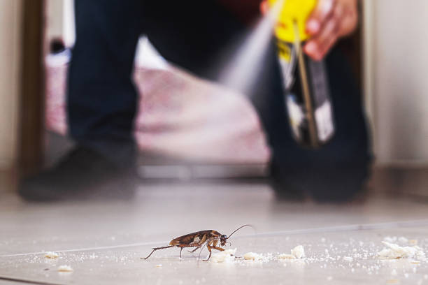 Trusted Lumberton, MS Pest Control Experts